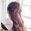 Image of Fashionable Hair Barrette Hair Clips - Glam Up Accessories