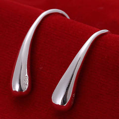 925 Sterling Silver Long Drop Earrings - Glam Up Accessories