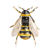 Image of Bumble Bee Brooch - Glam Up Accessories